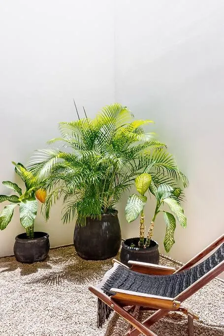 Exclusivo Penthouse Con Alberca Privada Y Roof Appartement Tulum Pueblo